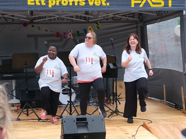 Hillerstorp SpecialRace 4